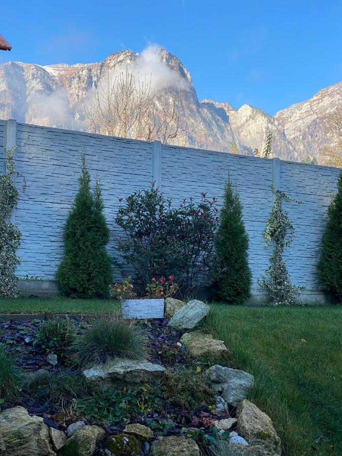 Royal Busteni-adults Only 4*