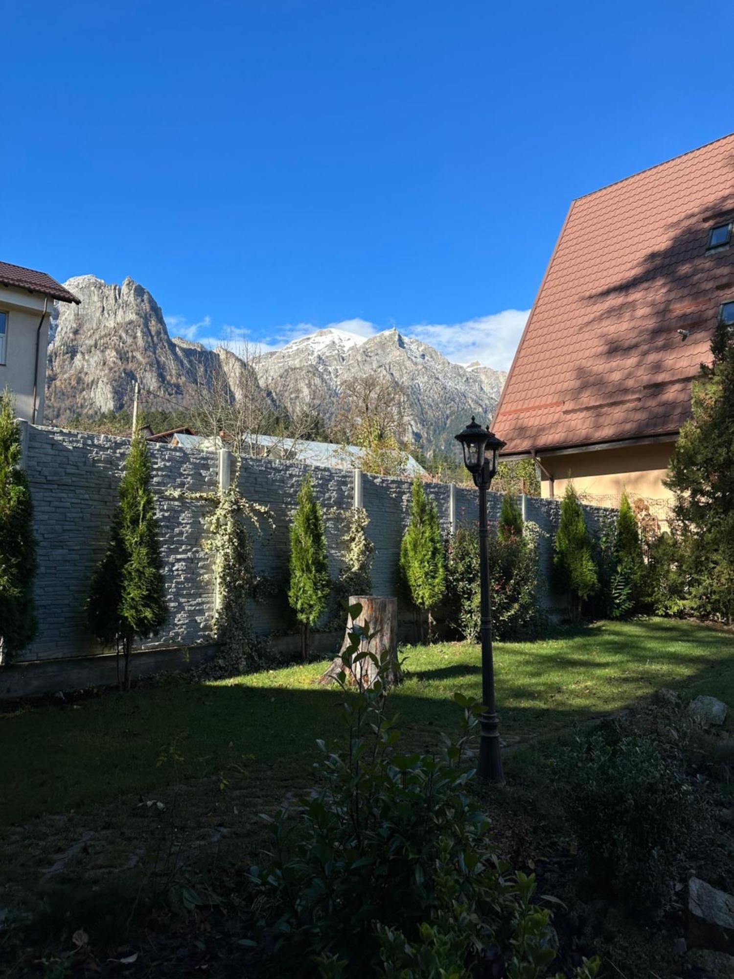 Affittacamere Royal Busteni-adults Only